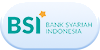 BSI