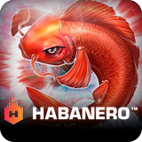 Habanero